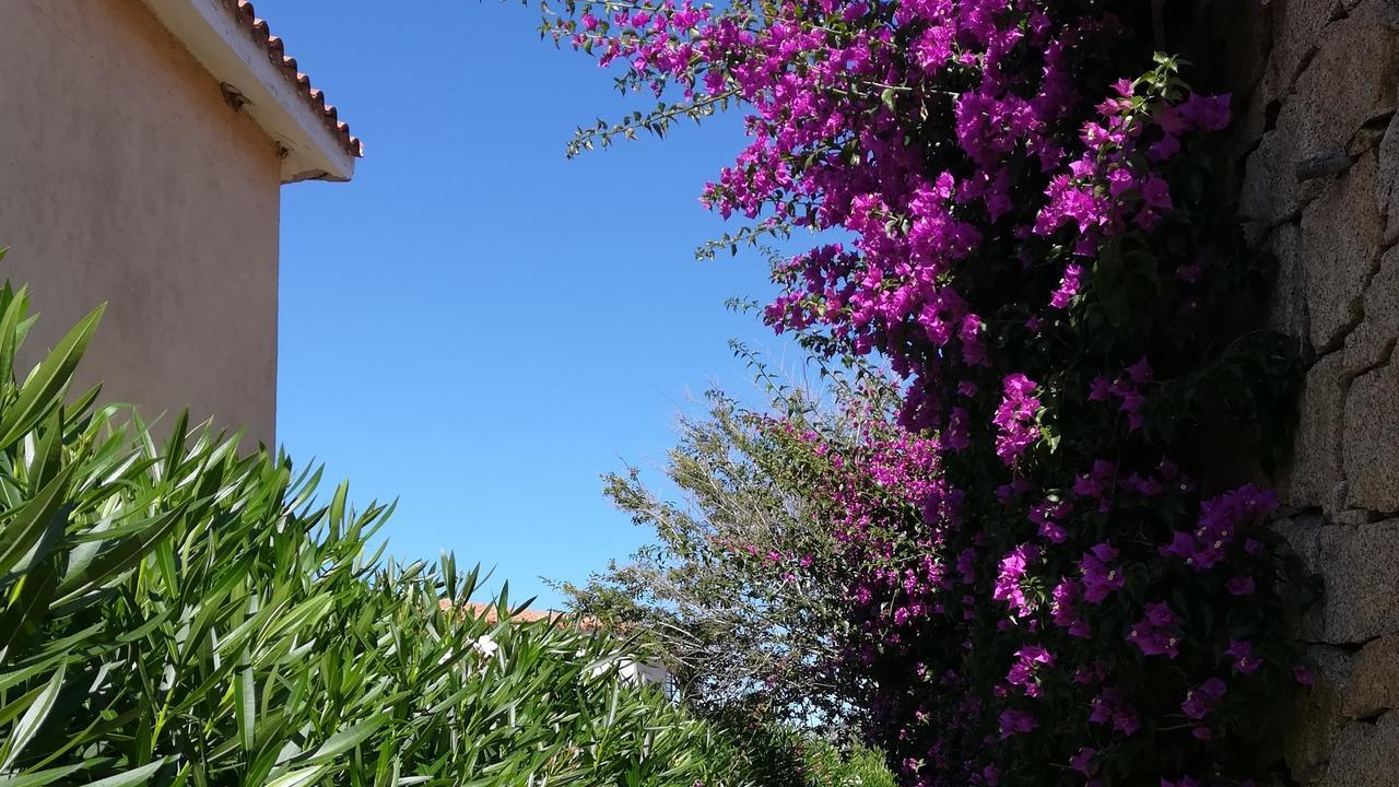Appartamenti Cannigione La Conia ภายนอก รูปภาพ
